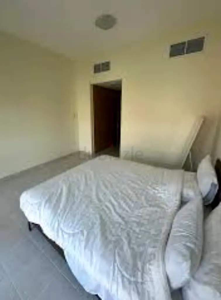 DPV_View_Image_1