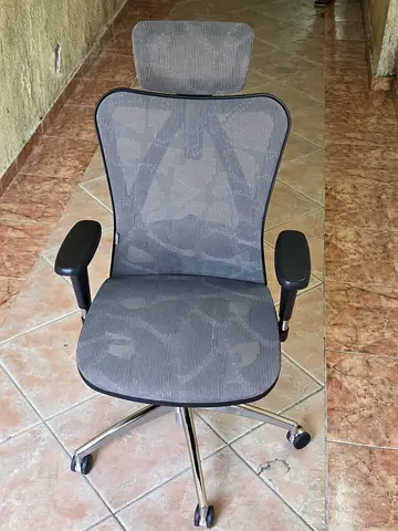 SIHOO M57 Classic Ergonomic Office Chair