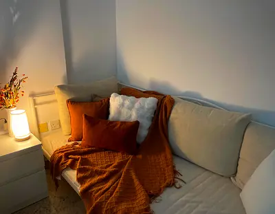 Ikea bed / couch