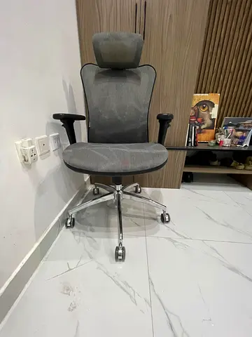 I'm Selling Sihoo M57 Ergonomic Adjustable Office Chair With 3D Arm Rests And Lumbar Support - High