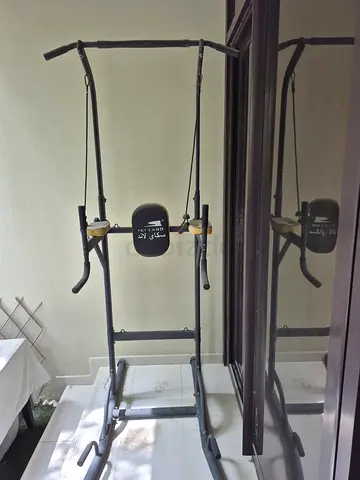 Skyland Multi Functional Power Tower