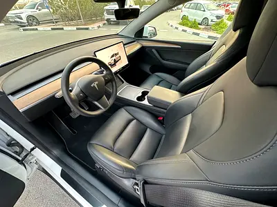 2022 Tesla MODEL Y 照片 10