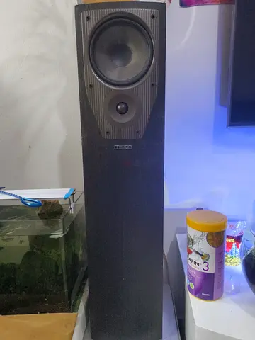 Mission Floor Standing 2 Speaker