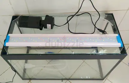 Fish Aquarium tank