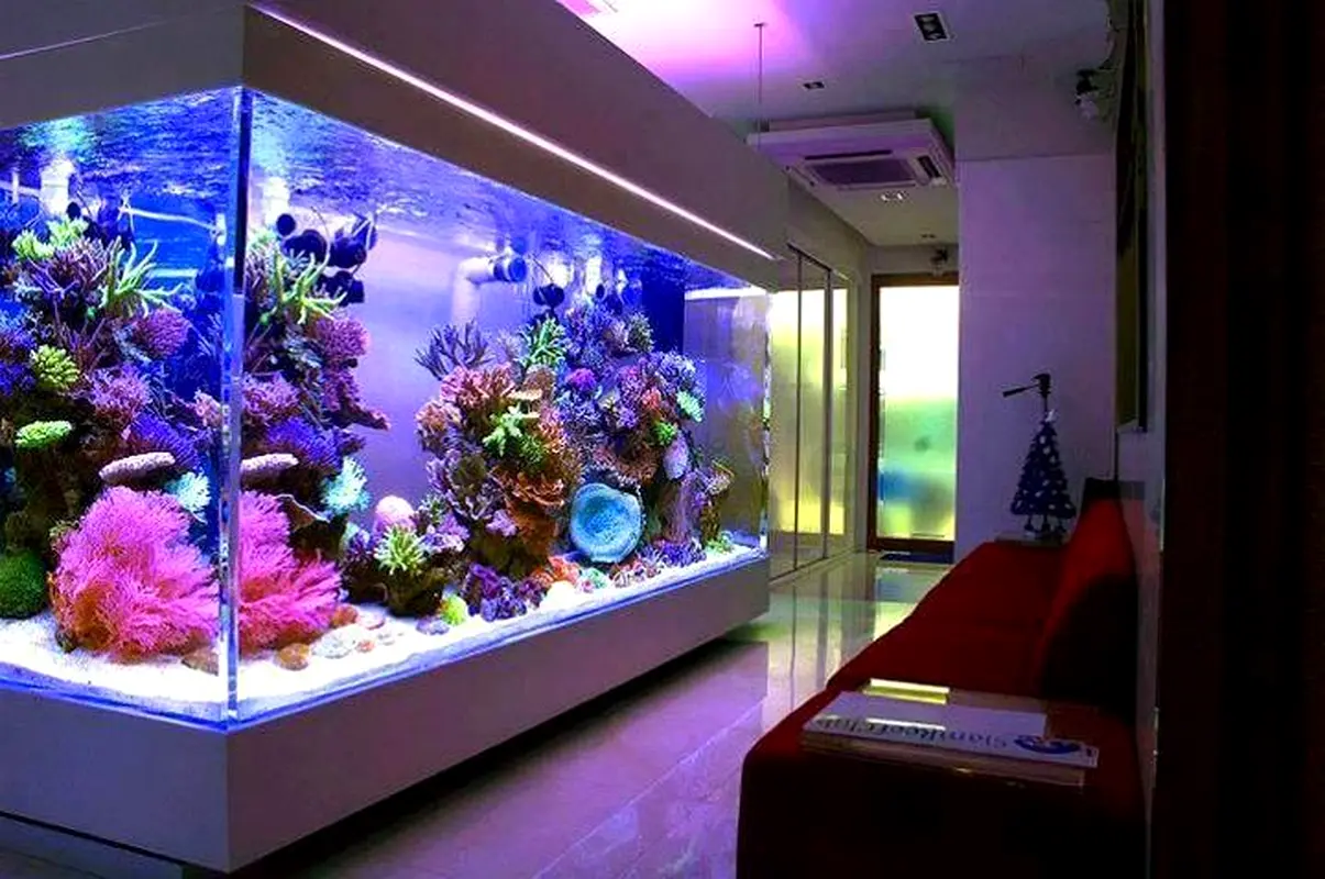 DPV_View_Image_0