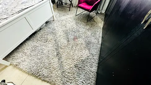 Soft Shaggy Light Grey Area Rug - 240 x 300 cm (Approx) - Good Condition