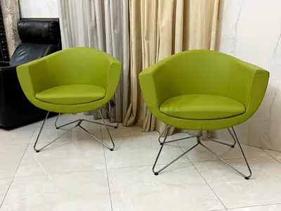 Profim Sorriso 10V genuine leather Arm chairs SERIES