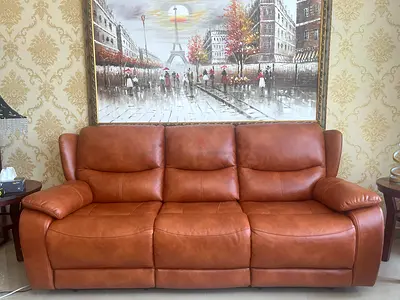 Electric Leather Sofa