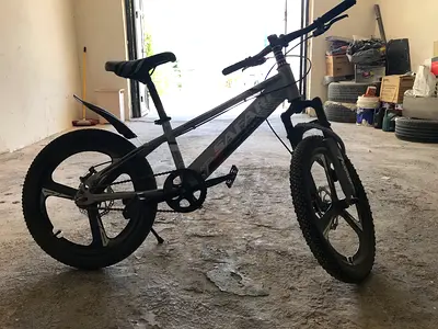 Used Safari kids/teen mountain bike - 20" wheels, single-speed, good condition