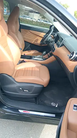 MG HS Luxury, миниатюра 12
