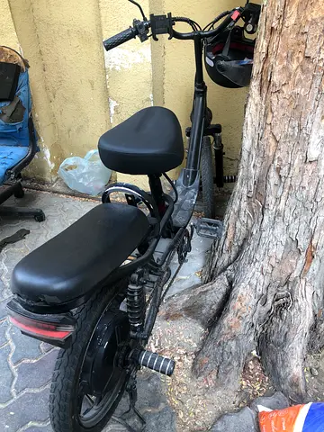 Electric bike