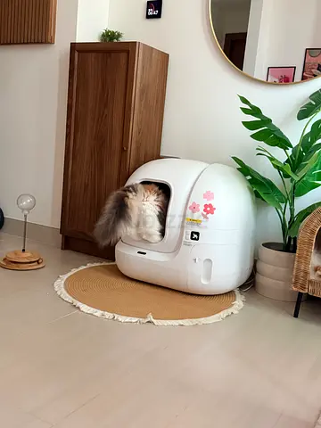 Automatic Cat Litter Box - Clean, Enclosed Design (Used)