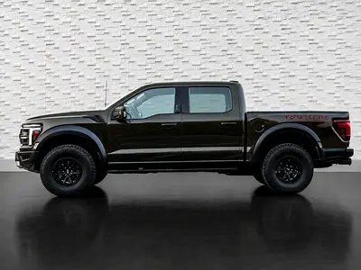 2024 FORD F-150 照片 5