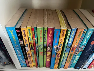 Set of 14 Roald Dahl and other books used