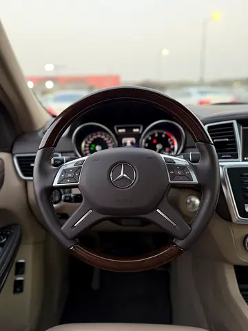 2014 Mercedes-BENZ GL 照片 13