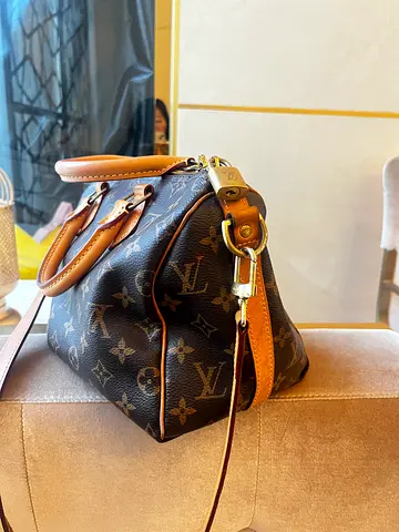 Speedy 25 handbag authentic