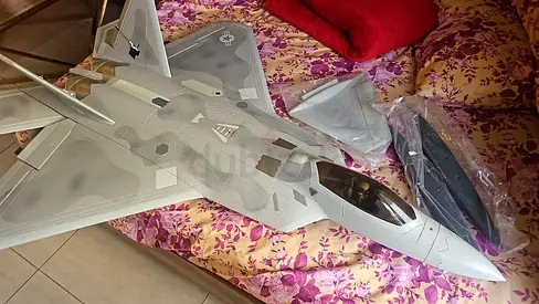 Freewing F-22 Raptor High Performance 90mm EDF Jet - PNP special paint protection