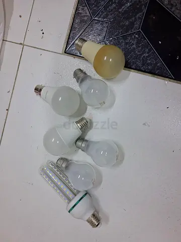 Bulbs