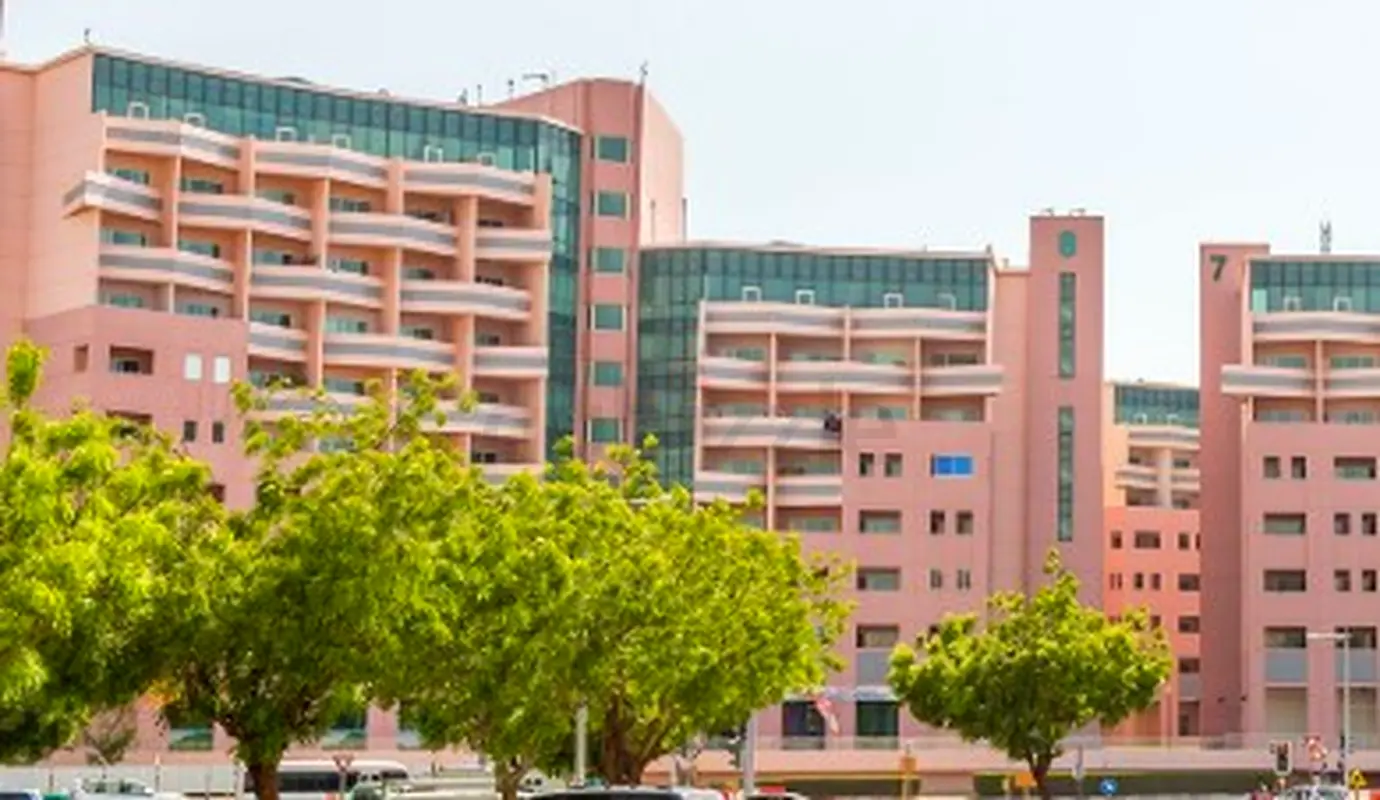 DPV_View_Image_2