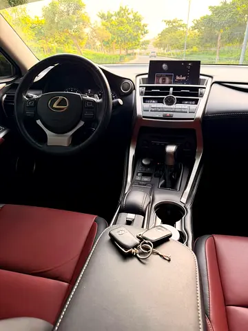 2017 Lexus NX-SERIES — фото 14