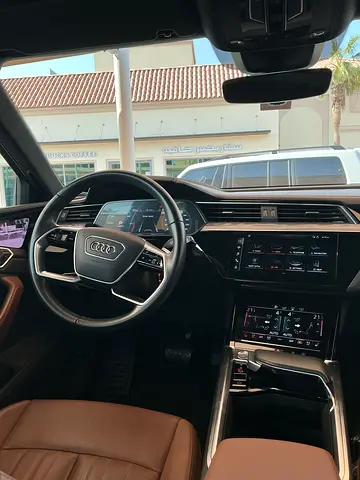 صورة مصغرة 14 لـ 2020 AUDI E-TRON
