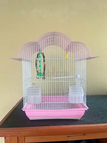 New Bird Cage