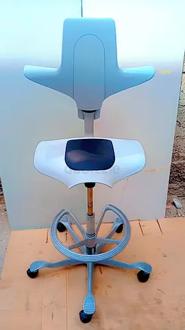 HAG Capisco plus 8010 ergonomic chair