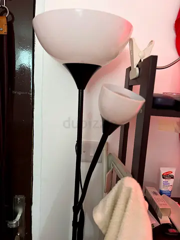Modern Dual Shade Floor Lamp