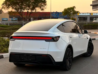 2025 Tesla MODEL Y 照片 10