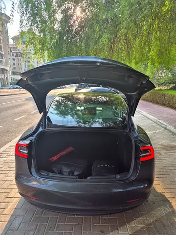 Tesla Model 3 Standard Plus, миниатюра 7