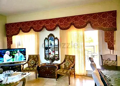 Classic elegant Living room curtain