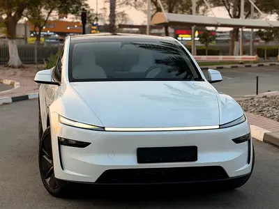 2025 Tesla MODEL Y 照片 6
