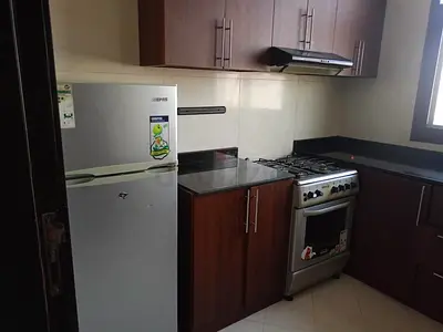 Used Silver Double-Door Refrigerator - Good Working Condition