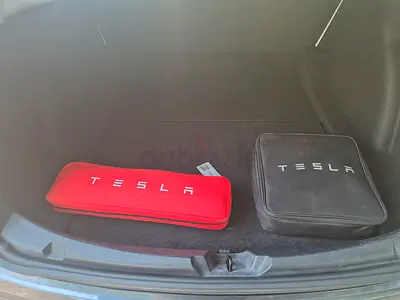 Tesla Model 3 Standard Plus, миниатюра 6