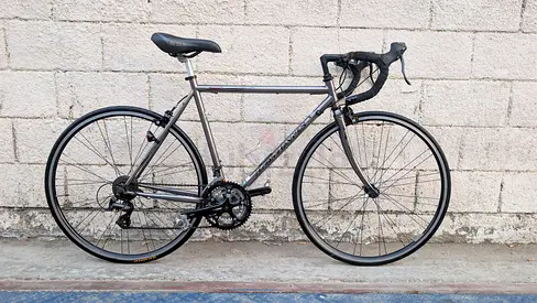 Classic Lemans Brand Road Bike - Lightweight Steel Frame, 21-Speed, Good Condition