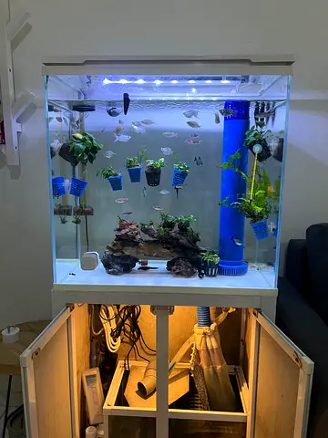 Aquarium fish tank for Sale