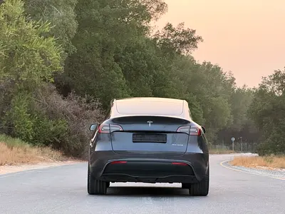 2023 Tesla MODEL Y 照片 4