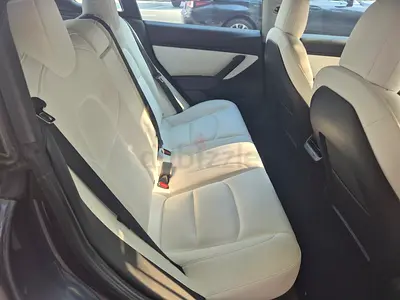 Tesla Model 3 Standard Plus, миниатюра 10