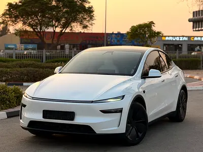 2025 Tesla MODEL Y 照片 2