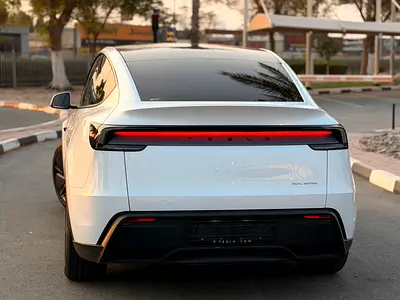 2025 Tesla MODEL Y 照片 9