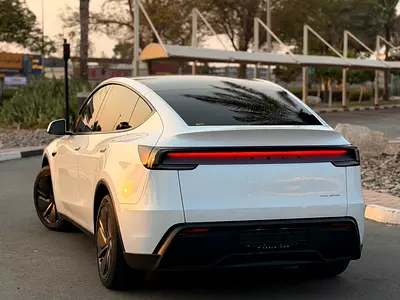 2025 Tesla MODEL Y 照片 8