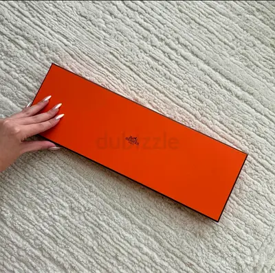 RARE Hermes Investec Zebra Silk Tie