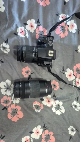 Canon 250D DSLR camera