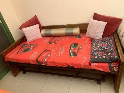 Diwan Sofa cum bed