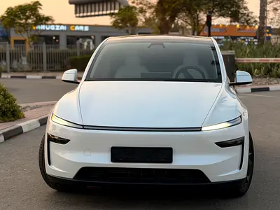 2025 Tesla MODEL Y 照片 3