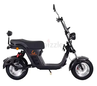 Kugoo Super Electric Scooter