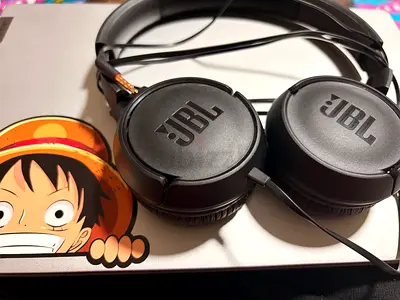 🎧 JBL Tune 500 Wired Headphones – Almost Brand New