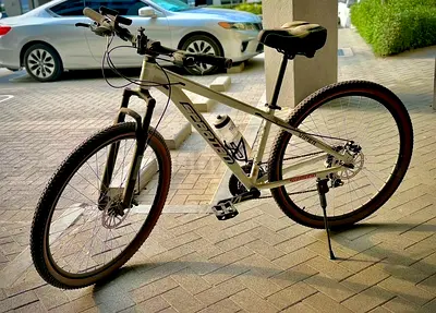 Spartan 29" Viper Hardtail Mountain Bike | 21-Speed