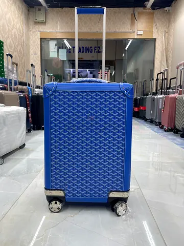 Blue patterned rolling suitcase with telescopic handle