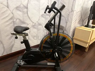 Octane Fitness Assault Bike
